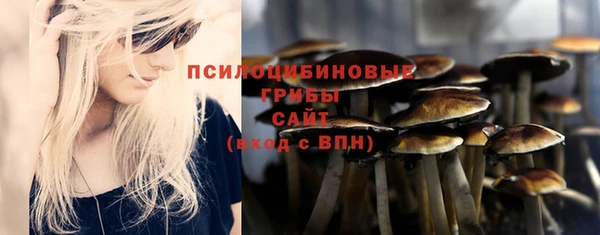 твердый Вязьма
