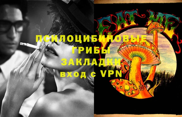 твердый Вязьма